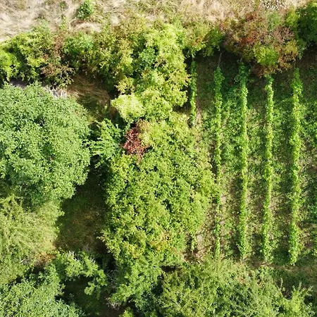 Casa Mo - Apartamento