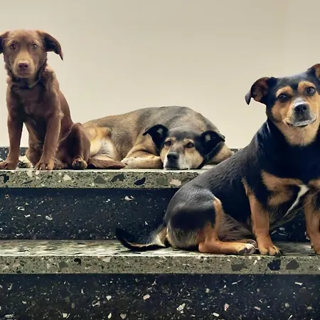 Casa Mo - Apartamento Lehmen