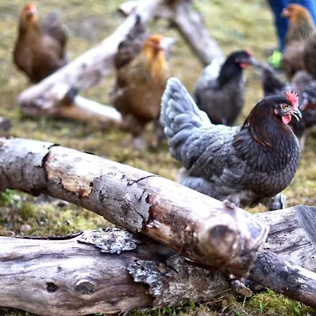 Casa Mo - Apartamento